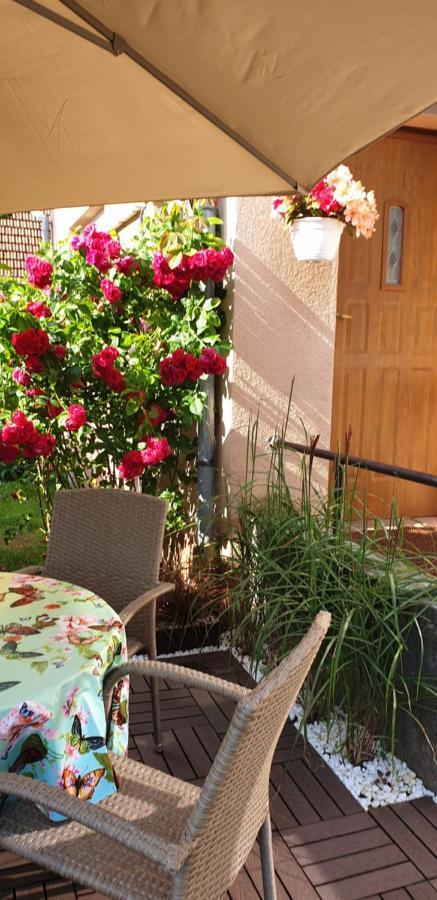 Viesnage Palangoje Pas J&i Holiday home *